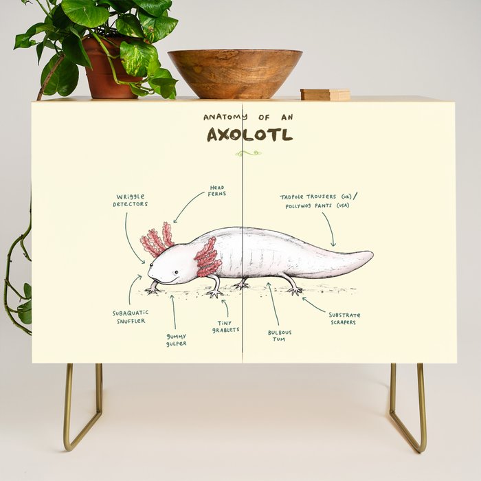 Anatomy of an Axolotl Credenza Gallery Image 1