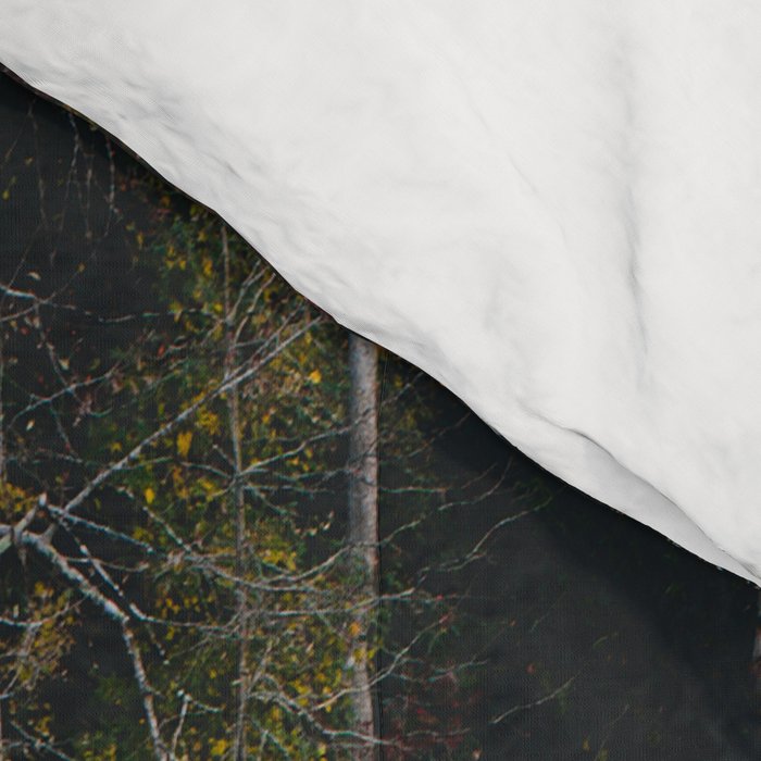 Fall Creek Comforter Gallery Image 4