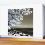 Coast 14 Wall Mural Gallery Image 2