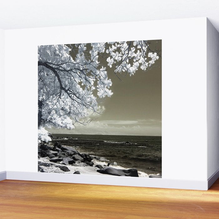 Coast 14 Wall Mural Gallery Image 2