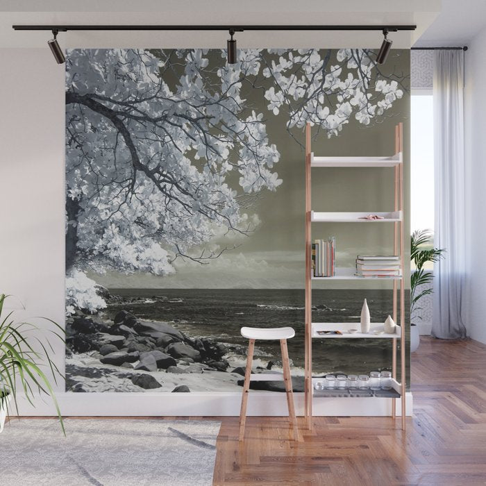 Coast 14 Wall Mural Gallery Image 1