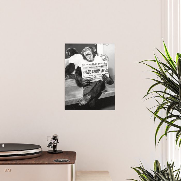 Space Chimp Lives - NASA Moon Flight black and white photograph Poster Gallery Image 2