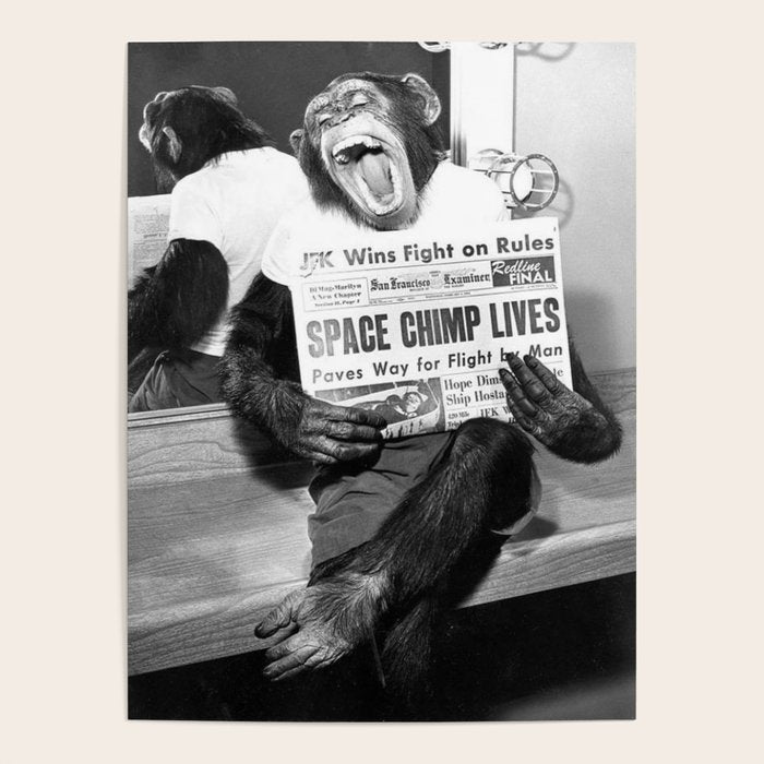 Space Chimp Lives - NASA Moon Flight black and white photograph Poster Gallery Image 4
