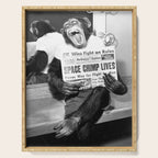 Space Chimp Lives - NASA Moon Flight black and white photograph Serving Tray Gallery Image 1