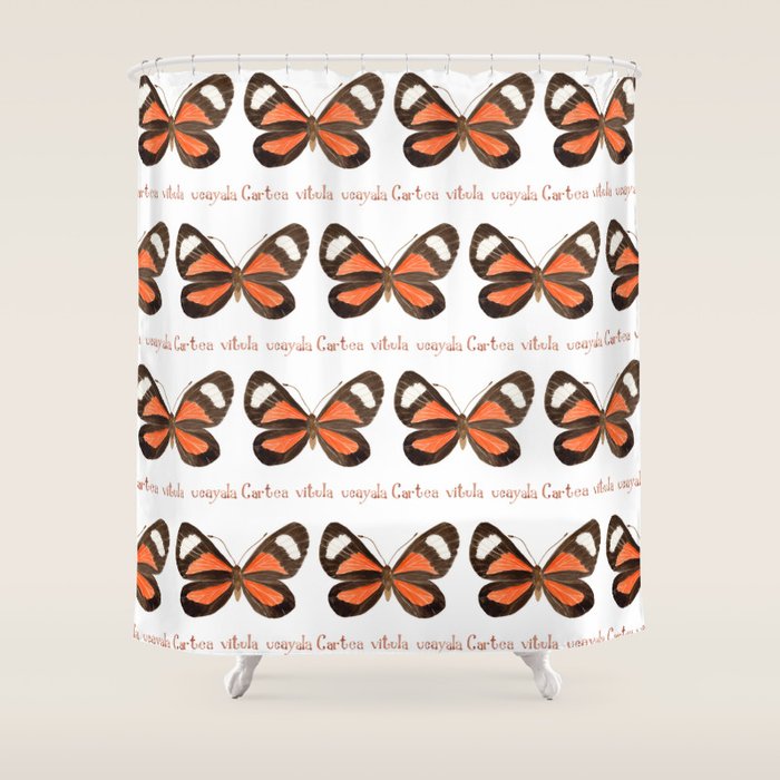 Butterfly - Cartea vitula ucayala Shower Curtain Gallery Image 1