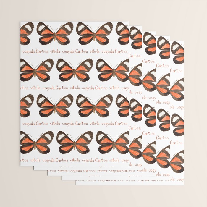 Butterfly - Cartea vitula ucayala Wrapping Paper Gallery Image 3