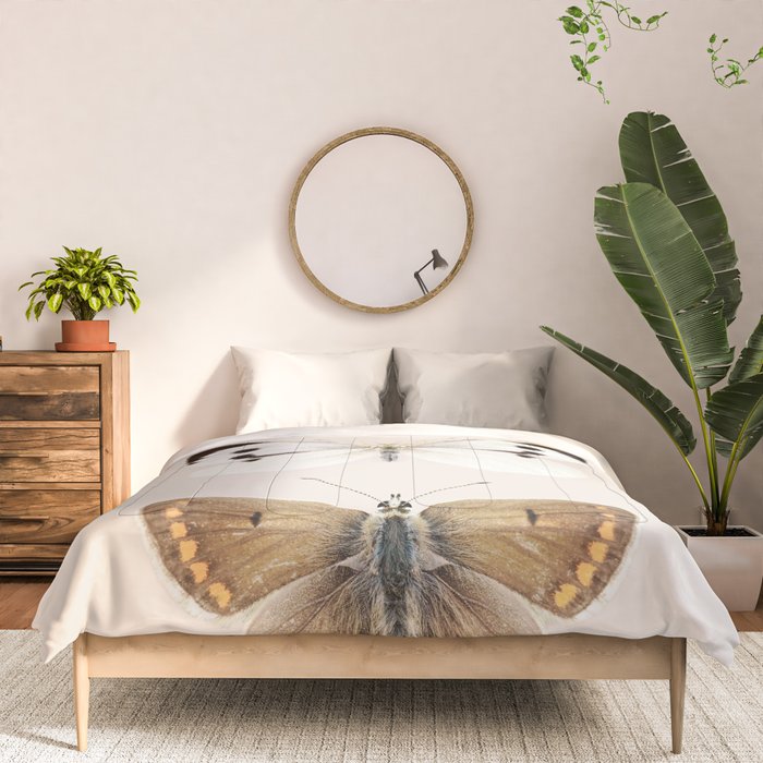 English Butterflies Comforter Gallery Image 3