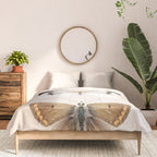 English Butterflies Comforter Gallery Image 3