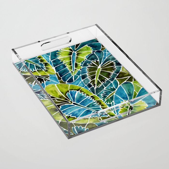 Schismatoglottis Calyptrata - Teal Palette Acrylic Tray Gallery Image 1