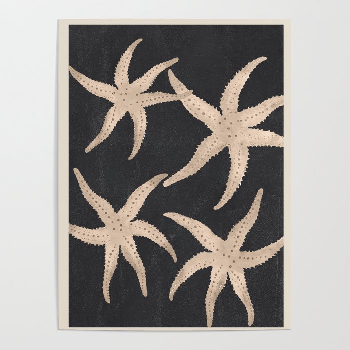 Starfish Harmony 3 Poster Gallery Image 4