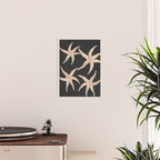 Starfish Harmony 3 Poster Gallery Image 2