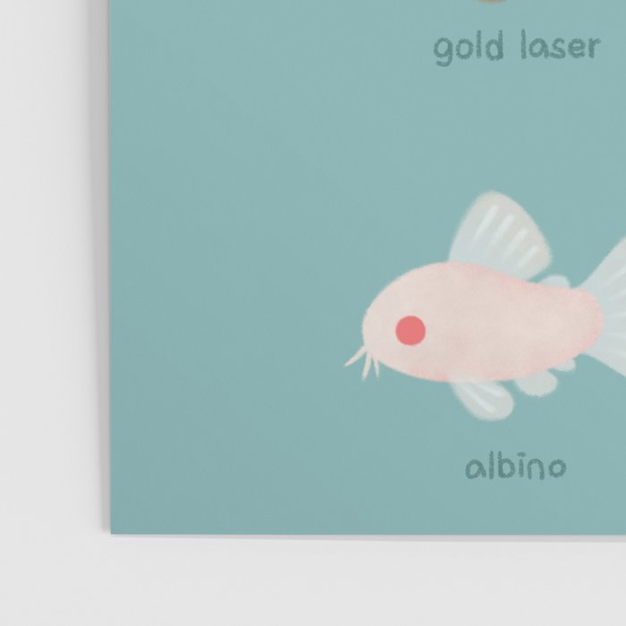 Corydoras! Poster Gallery Image 3