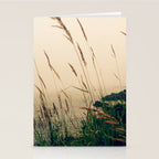 Maine Morning Stationery Card Gallery Image 2