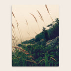 Maine Morning Notebook Gallery Image 4
