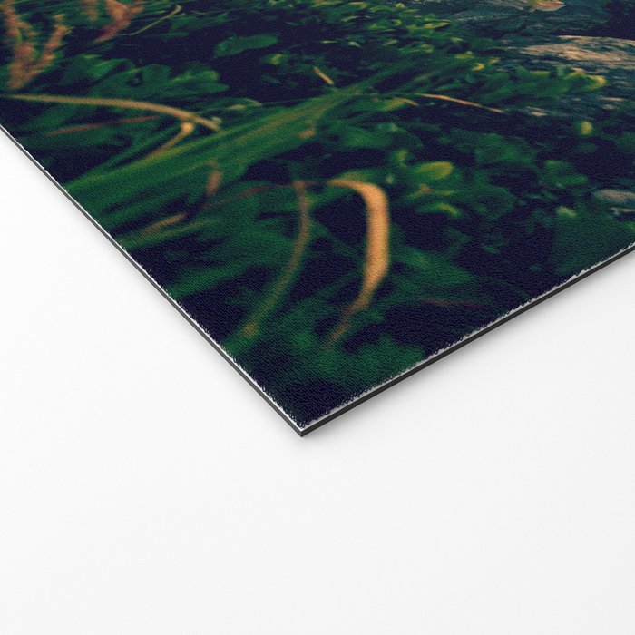 Maine Morning Welcome Mat Gallery Image 2