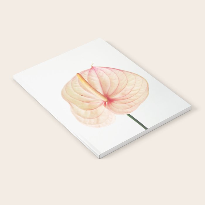 Calla Lily II Notebook Gallery Image 2