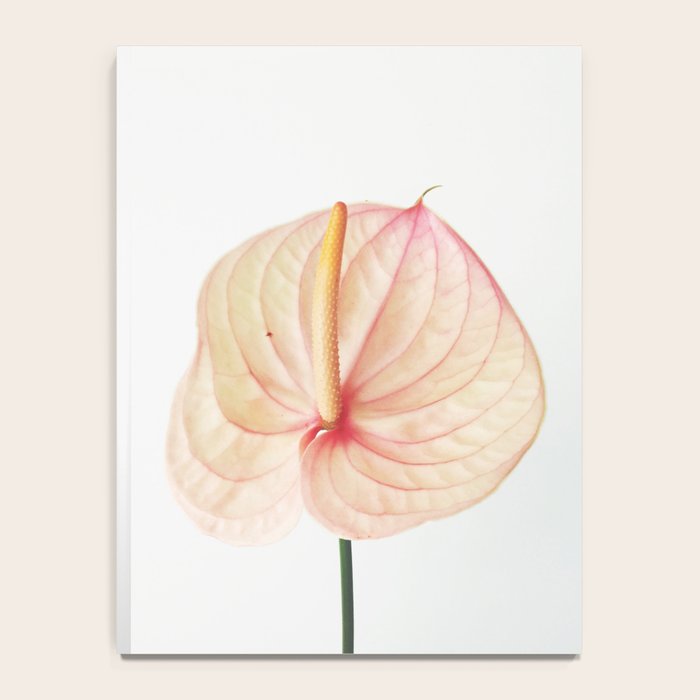 Calla Lily II Notebook Gallery Image 4