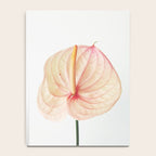 Calla Lily II Notebook Gallery Image 4