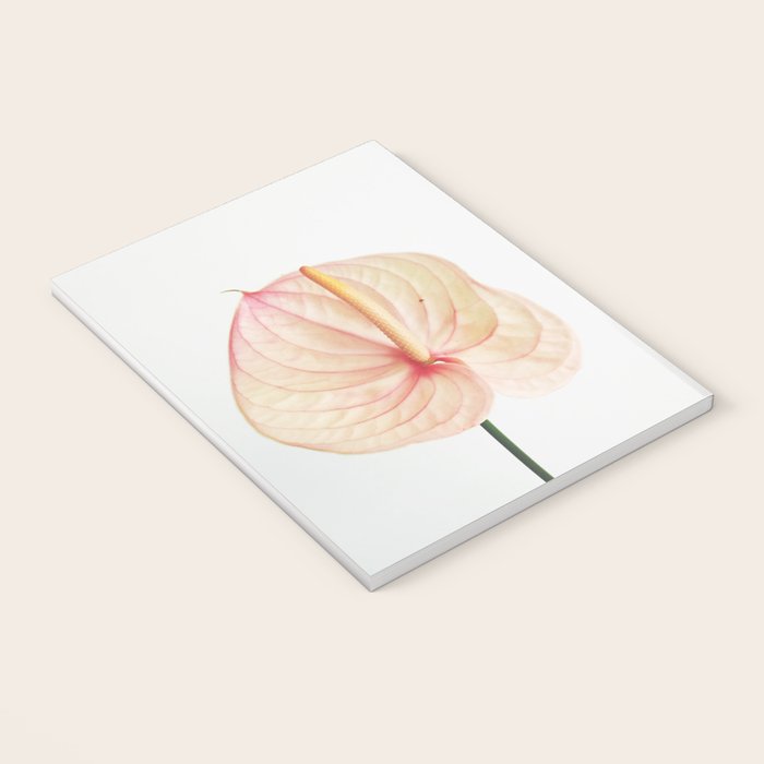 Calla Lily II Notebook Gallery Image 3