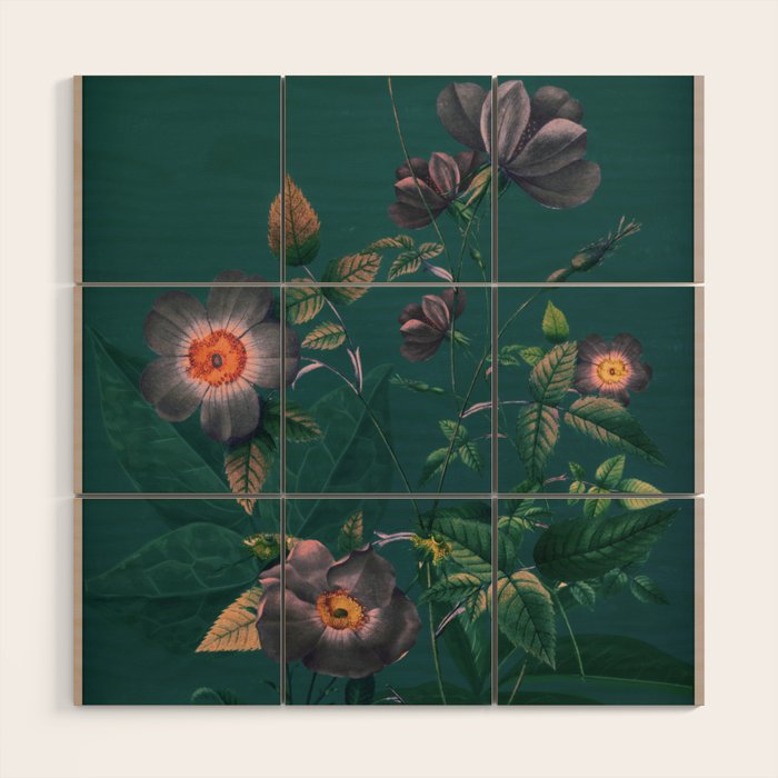 Night Garden 5 Wood Wall Art Gallery Image 1
