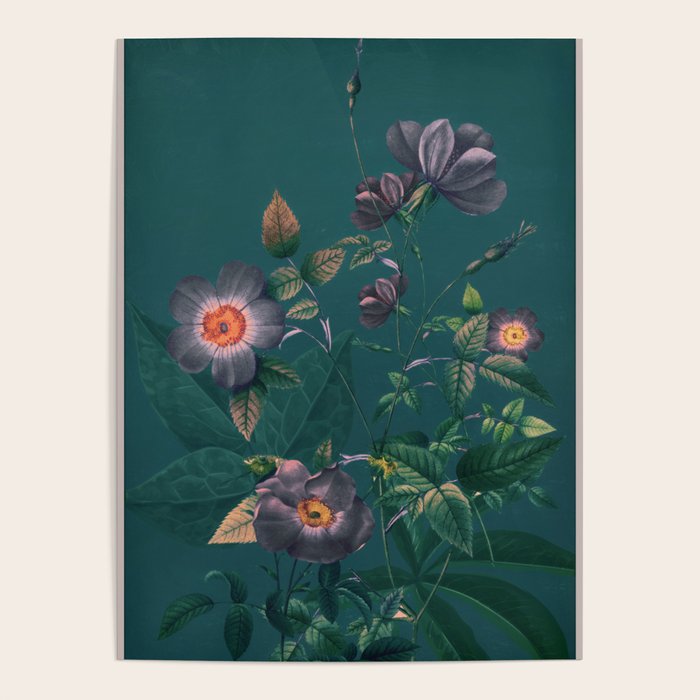 Night Garden 5 Poster Gallery Image 1