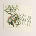 Bachman's Warbler - John James Audubon Birds of America Wrapping Paper Gallery Image 3