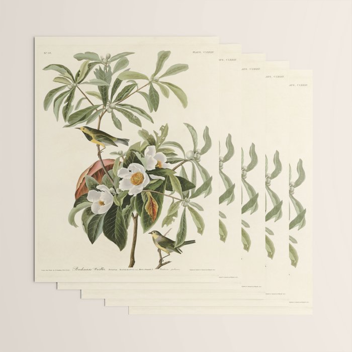 Bachman's Warbler - John James Audubon Birds of America Wrapping Paper Gallery Image 3