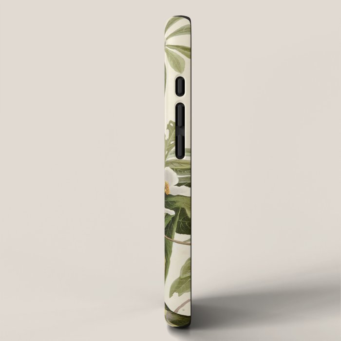 Bachman's Warbler - John James Audubon Birds of America iPhone Case Gallery Image 2