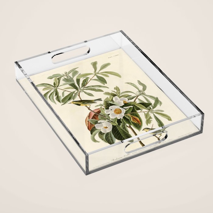 Bachman's Warbler - John James Audubon Birds of America Acrylic Tray Gallery Image 1