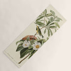 Bachman's Warbler - John James Audubon Birds of America Yoga Mat Gallery Image 1