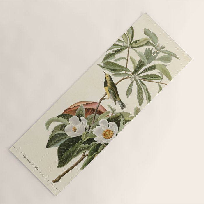 Bachman's Warbler - John James Audubon Birds of America Yoga Mat Gallery Image 1