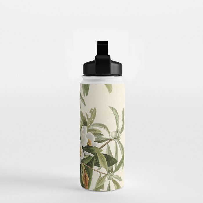 Bachman's Warbler - John James Audubon Birds of America Water Bottle Gallery Image 2