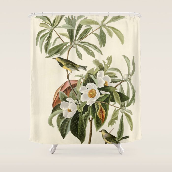 Bachman's Warbler - John James Audubon Birds of America Shower Curtain Gallery Image 1