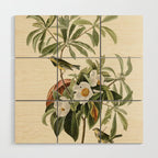 Bachman's Warbler - John James Audubon Birds of America Wood Wall Art Gallery Image 1