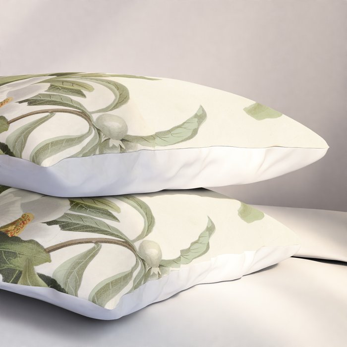 Bachman's Warbler - John James Audubon Birds of America Pillow Sham Gallery Image 3