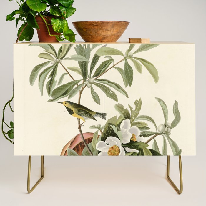 Bachman's Warbler - John James Audubon Birds of America Credenza Gallery Image 1