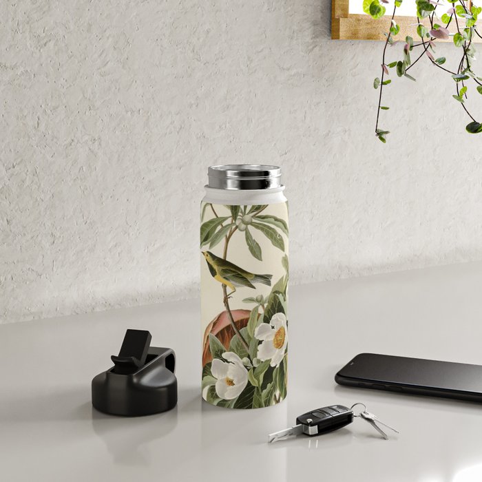 Bachman's Warbler - John James Audubon Birds of America Water Bottle Gallery Image 4