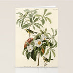 Bachman's Warbler - John James Audubon Birds of America Stationery Card Gallery Image 2