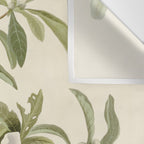 Bachman's Warbler - John James Audubon Birds of America Wall Tapestry Gallery Image 3
