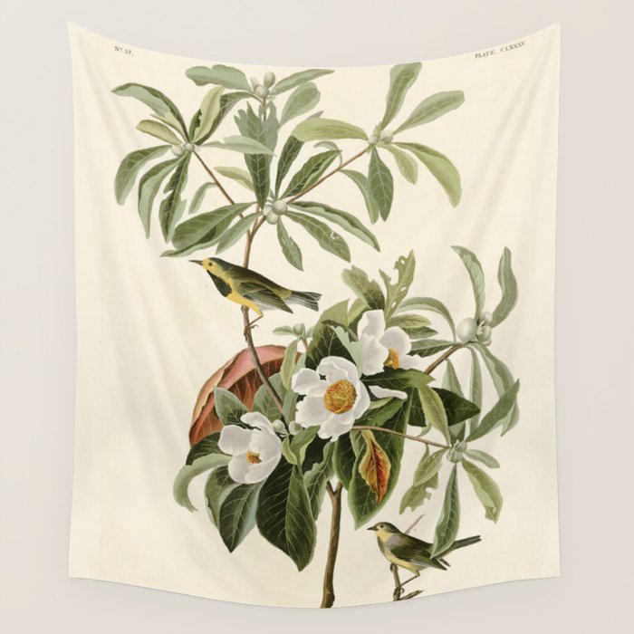 Bachman's Warbler - John James Audubon Birds of America Wall Tapestry Gallery Image 1