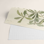 Bachman's Warbler - John James Audubon Birds of America Wrapping Paper Gallery Image 2