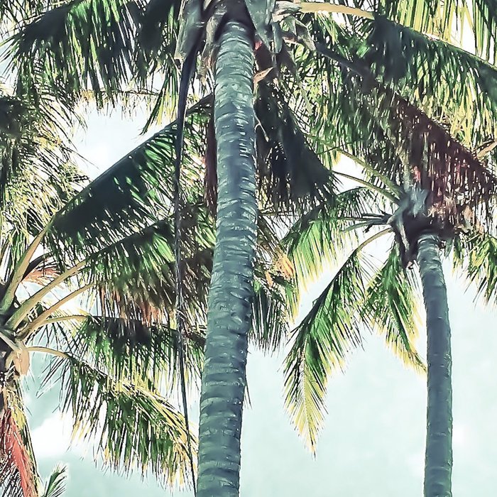 Under the palms Coffee Mug Gallery Image 2