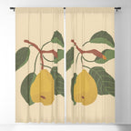Pear Window Curtain Gallery Image 5
