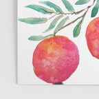 red pomegranate watercolor Poster Gallery Image 3