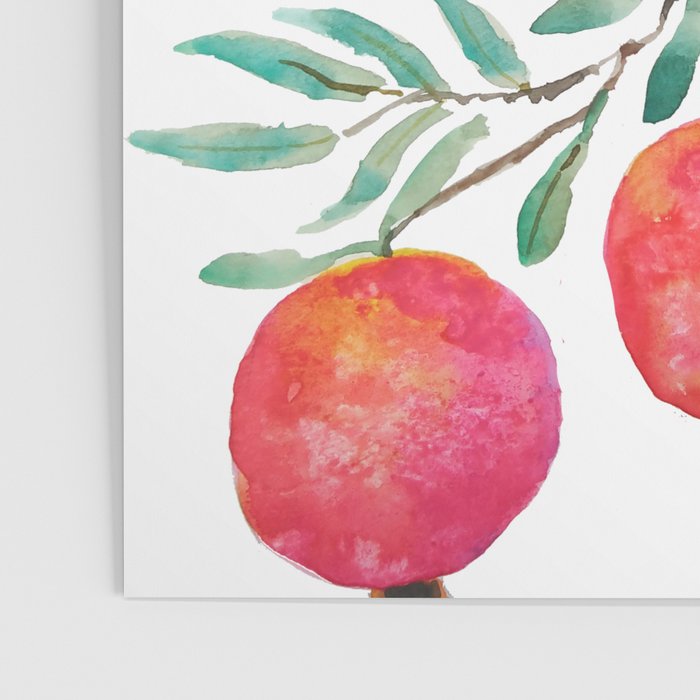 red pomegranate watercolor Poster Gallery Image 3