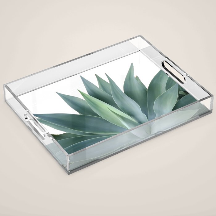 Agave blanco Acrylic Tray Gallery Image 1