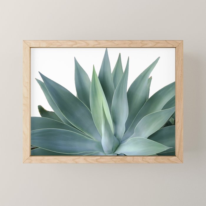 Agave blanco Mini Art Print Gallery Image 1