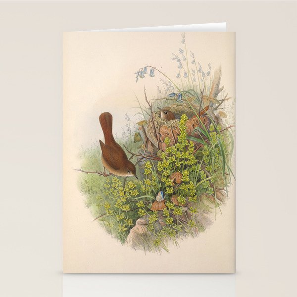 Nightingale from "The Birds of Great Britain," 1873 Stationery Card Gallery Image 2