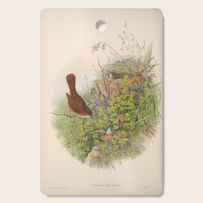 Nightingale from "The Birds of Great Britain," 1873 Cutting Board Gallery Image 1