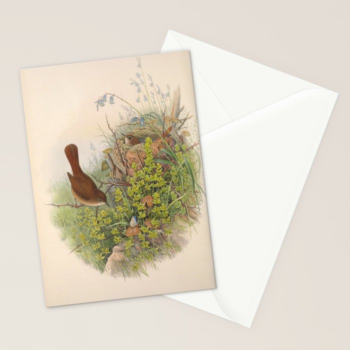 Nightingale from "The Birds of Great Britain," 1873 Stationery Card Gallery Image 2